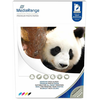 MediaRange MediaRange kleb Fotopapier hochglän. 210x297mm 115g 50 Blatt