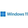 Microsoft® „Windows 11 Home FPP“ 64 bitų švediška USB 1 licencija