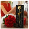 Golden Rose Mikamax - 24 karatų auksinė rožė