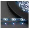 Taśma LED Monacor LEDS-10MP/RGB LED-strip RGB 24V 10m