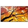 Monitorius Sharp M862 86IN UHD LFD D-LED - 24/7 550CD SDM CM SLOT