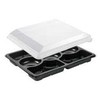 Multi „Zen Tapas“ padėklas 7 skyriai 1518 ml L320 x B250 x H69 mm RPET su dangteliu, juodas, 5 rinkiniai (8 pak. x 5 rinkiniai/kartonas)