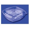 Multi Vienkartinė maisto dėžutė Plastbakke SquarePac 1000 ml 192x190x54 mm su atlenkiamu dangteliu APET permatoma 75 vnt./pak.