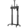 Laikiklis Multibrackets M MOTORIZED PUBLIC FLORSTAND DUAL PILLAR 180 HD
