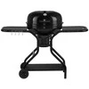 Mustang Kolgrill Mason