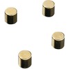 NAGA Magnet cylinder guld 4stk på kort
