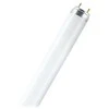 Osram 58W lempa LUMILUX T8, G13, 3000K, 1514,2mm