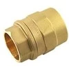 Adapteris su įvore 20 mm x 3/4 - Isiflo