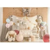 Party Deco PartyDeco balionai 30 pelėsių su ratuku 1 lengvasis malūnėlis A6 85494