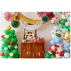 Party Deco PartyDeco dekoratyvinių rozečių mišinys 26-43 cm A3 09981