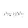 PartyDeco Girlianda Happy Birthday sidabrinė, 16.5x62cm