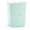 Party Deco Dėžutės popcorn "Kaktusai" 6 vnt 7*7*12,5cm