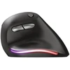 Pelė Trust Computer Products Trust Bayo, dešinei rankai, Optinė, RF belaidė, 2400 DPI, Juodas
