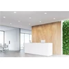 PHILIPS CoreLine įleidžiamas šviestuvas DN142B 2000lm/830 Ø200 20W Baltas su aliuminio reflektoriumi DALI