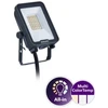 Naświetlacz Signify Philips Ledinaire Projektør Lille All-in BVP167 1200lm/830-840-865 10W IP65 Symmetrisk