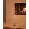 Philips Sirius Home Kira, Šviesos dekoratyvinė figūrėlė, Ruda, 96 lemputės, LED, 1,35 W, 900 mm