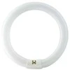Philips Master TL-E Circular Super 80 G10q 32W 2375lm 3000K liuminescencinė lempa (8711500559685)