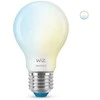 Philips „WiZ Lamp Glass“ – išmanusis LED apšvietimas – nuo šiltos iki šaltos baltos šviesos – E27 – 60 W – matinis – „Wi-Fi“
