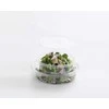 Plus Pack Plastikiniai padėklai su atlenkiamu dangteliu 50 vnt. R-PET ovalo formos 370 ml 166x131x45 mm 97010 - (50 vnt.)