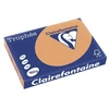 Popierius, Clairefontaine Trophée, A3, 160 g/m2, karamelės spalvos, pakuotė su 250 vnt.