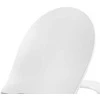 Pressalit Care SOFT CLOSE - klozeto dangtis su dangčiu, baltas