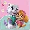 Globos Europe Bv PROCOS Paw Patrol Skye ir Everest gimtadienio servetėlės - 33 cm - 20 vnt. Universalios