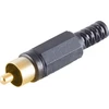 Kabelis USB ProXtend USB-A - USB-A 5 m Juodas (JAB-7467620)