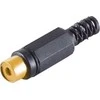 USB kabelis ProXtend USB 2.0 Cable A į Micro B M / M Juodas 2M