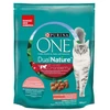 Purina Nestle ĖDAL SAUSAS KATĖMS ONE DUAL STERIL. 750G