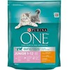 Purina Nestle One Bifensis Junior – sausas kačių maistas – 800g