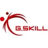 G.Skill prekės ženklo logotipas