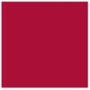 Artequipment TALENS REMBRANDT 40ML 318 - CARMINE - farba olejna uniw