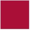 Artequipment TALENS REMBRANDT 40ML 318 - CARMINE - farba olejna uniw