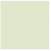 Artequipment TALENS REMBRANDT 40ML 282 - NAPLES Geltonas Žalias - farba olejna uniw