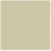 Artequipment Rembrandt Oil Colour Tube Sidabrinis 800
