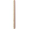 Rotring ROTRING Reduktionsmaßstab Dreikant 30cm / Architekt S0220481