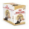 Royal Canin FBN katės persų kepalas 12x85 g