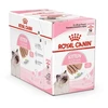 Royal Canin FHN Cat Kitten Instinctive Loaf 12x85 g