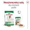 ROYAL CANIN Adult Mini S – sausas Maistas šunims – 8kg