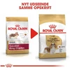 Royal Canin Cavalier King Charles sausoji suaugusių šunų maistas - 7,5kg