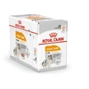 ROYAL CANIN CCN Coat Care Loaf - Wet dog food Pâté 12x85 g