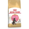 Royal Canin Meino kūno kačiukas, kačiukas, Meino kūnas, paukštiena, ryžiai, 400g, su antioksidantais