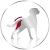 Royal Canin Įvairaus amžiaus vidutinių veislių šunų konservuotas pašaras - 12x410 g