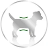 Royal Canin Mini Adult Loaf šlapias Maistas šunims - 12x195g