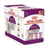 Royal Canin Sensory Mixed Box Gravy suaugusių kačių šlapiasis pašaras - 12x85 g