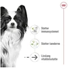 Royal Canin X-Small vyresniems nei 12 metų šunų sausas maistas - 1.5kg
