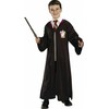 Rubiesharry Potter Rubinai - Hario Poterio lazdelės ir akinių rinkinys (5374NS000)