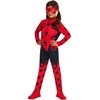 Rubies Miraculous Ladybug kostume