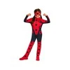 Rubies Miraculous Ladybug kostume
