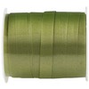 Santex Kiwi žalias gift ribbon, 10 m